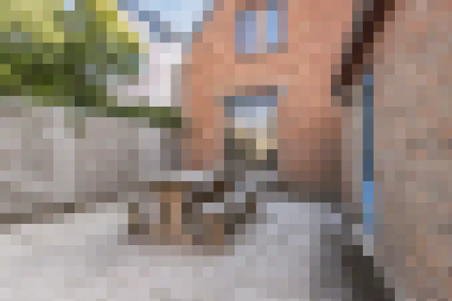 Lange Kerkstraat 25 Terneuzen thumbnail 38
