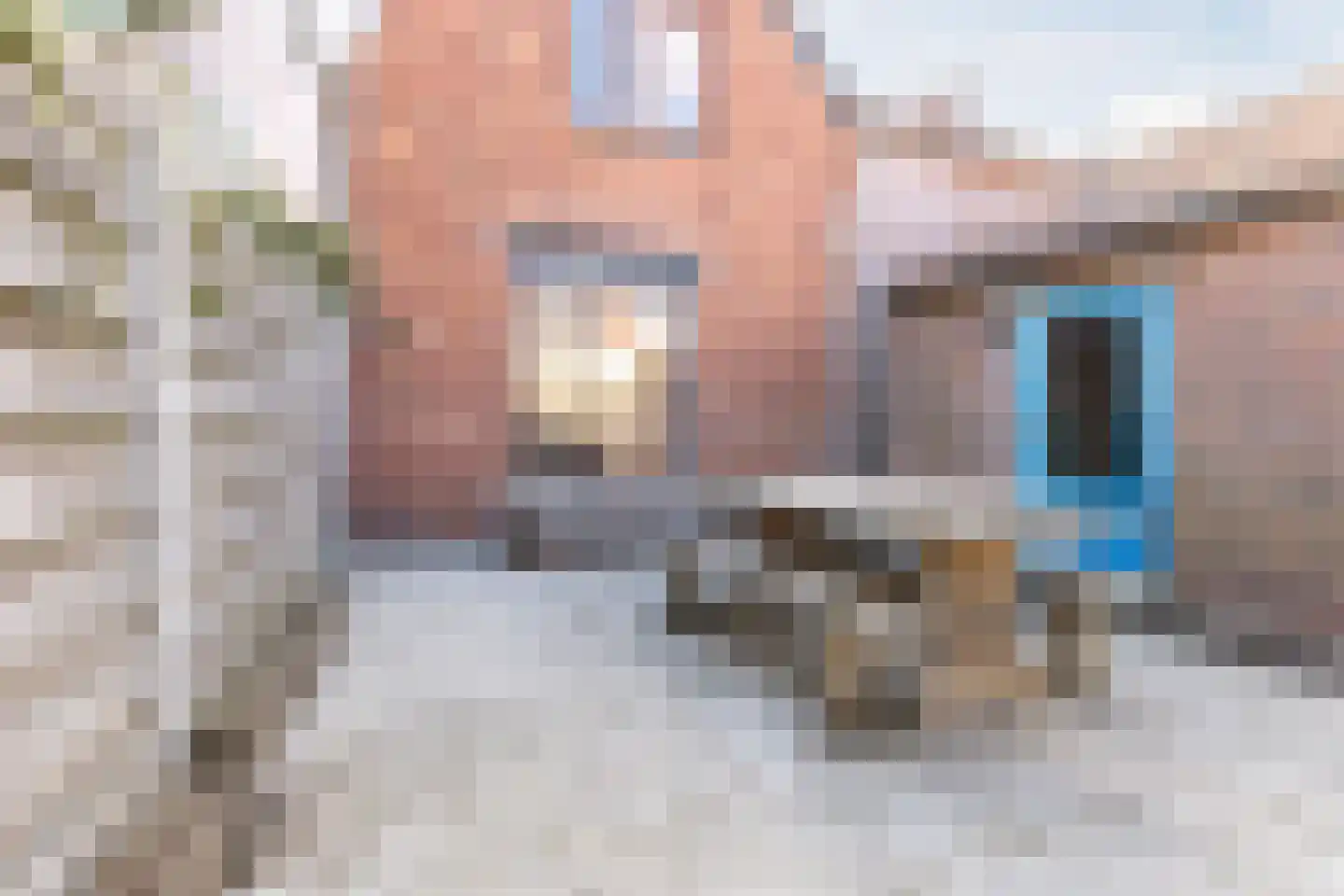 Lange Kerkstraat 25 Terneuzen thumbnail 4