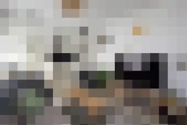 Lange Kerkstraat 3 Hoorn thumbnail 15