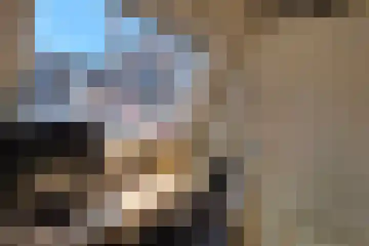 Lange Kerkstraat 3 Hoorn thumbnail 30