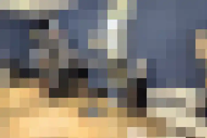 Lange Kerkstraat 3 Hoorn thumbnail 5