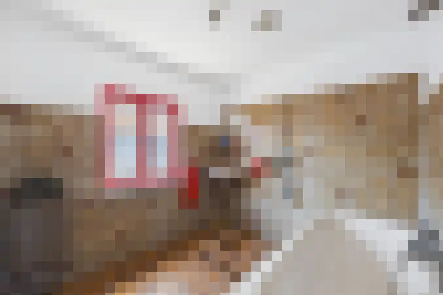 Lange Kerkstraat 44 Terneuzen thumbnail 18