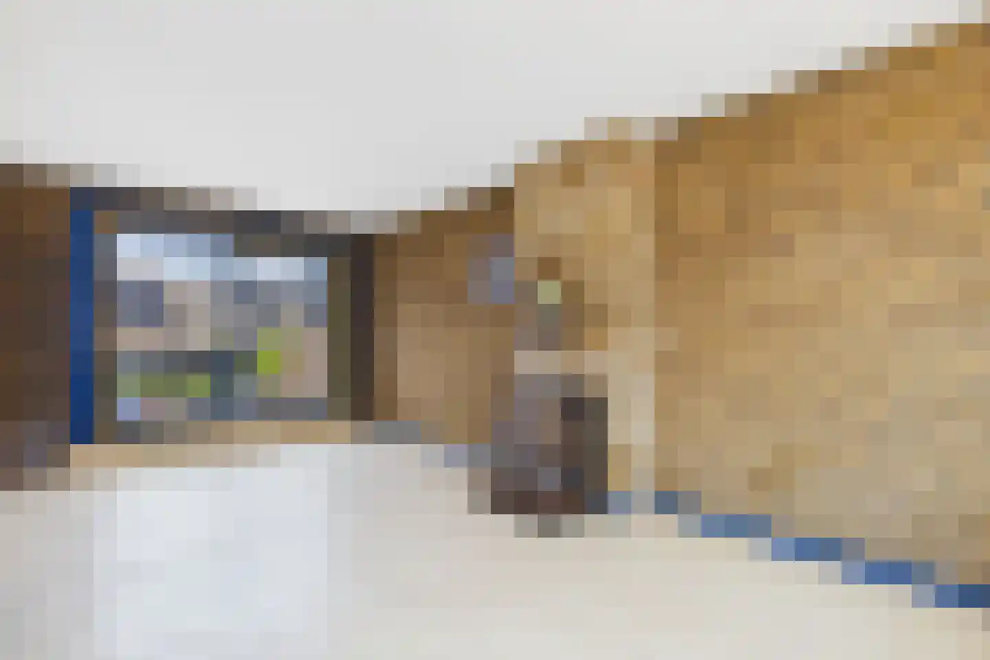 Lange Kerkstraat 44 Terneuzen thumbnail 8