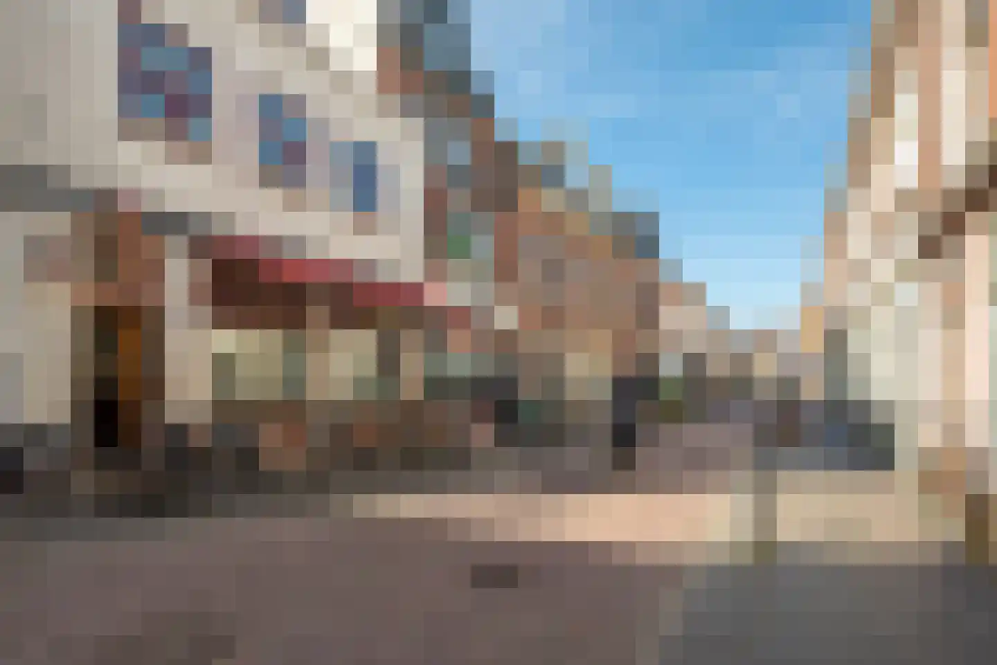 Lange Koestraat 8 D Utrecht thumbnail 27