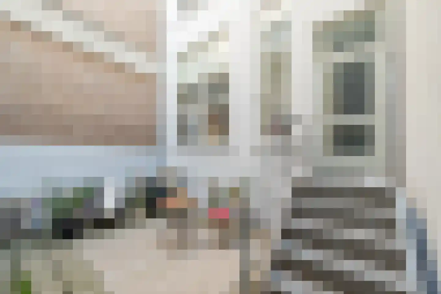 Lange Koestraat 8 G Utrecht thumbnail 24