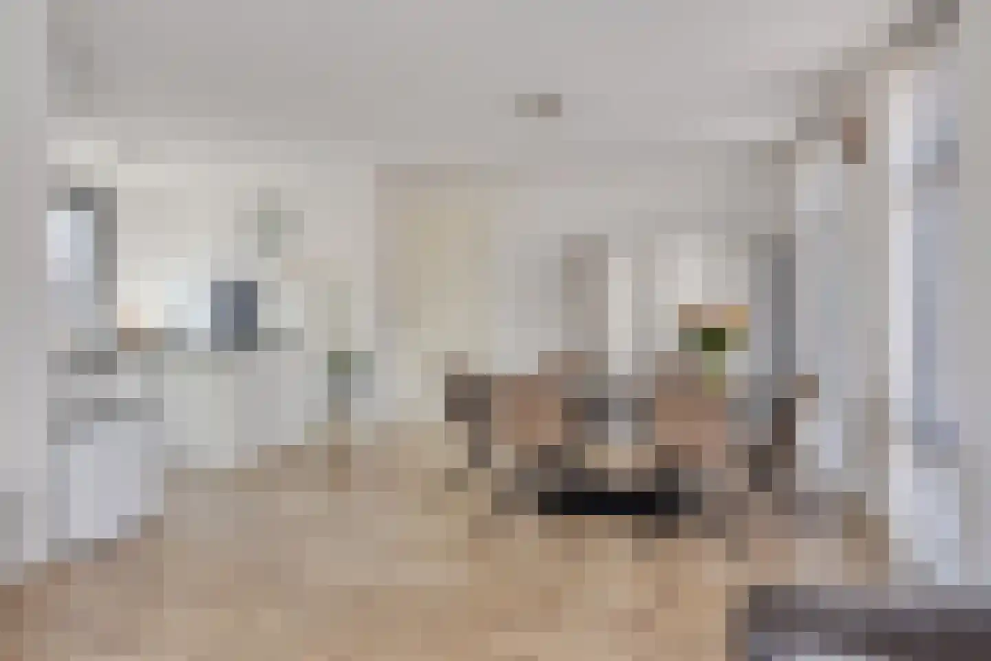 Lange Kruisweg 1 B Veldhoven thumbnail 13