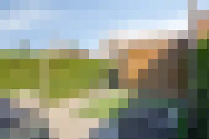 Lange Kruisweg 114 Veldhoven thumbnail 22
