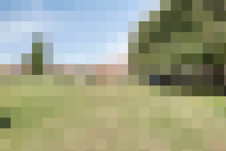 Lange Kruisweg 114 Veldhoven thumbnail 27
