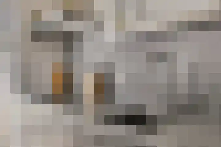 Lange Kruisweg 114 Veldhoven thumbnail 9