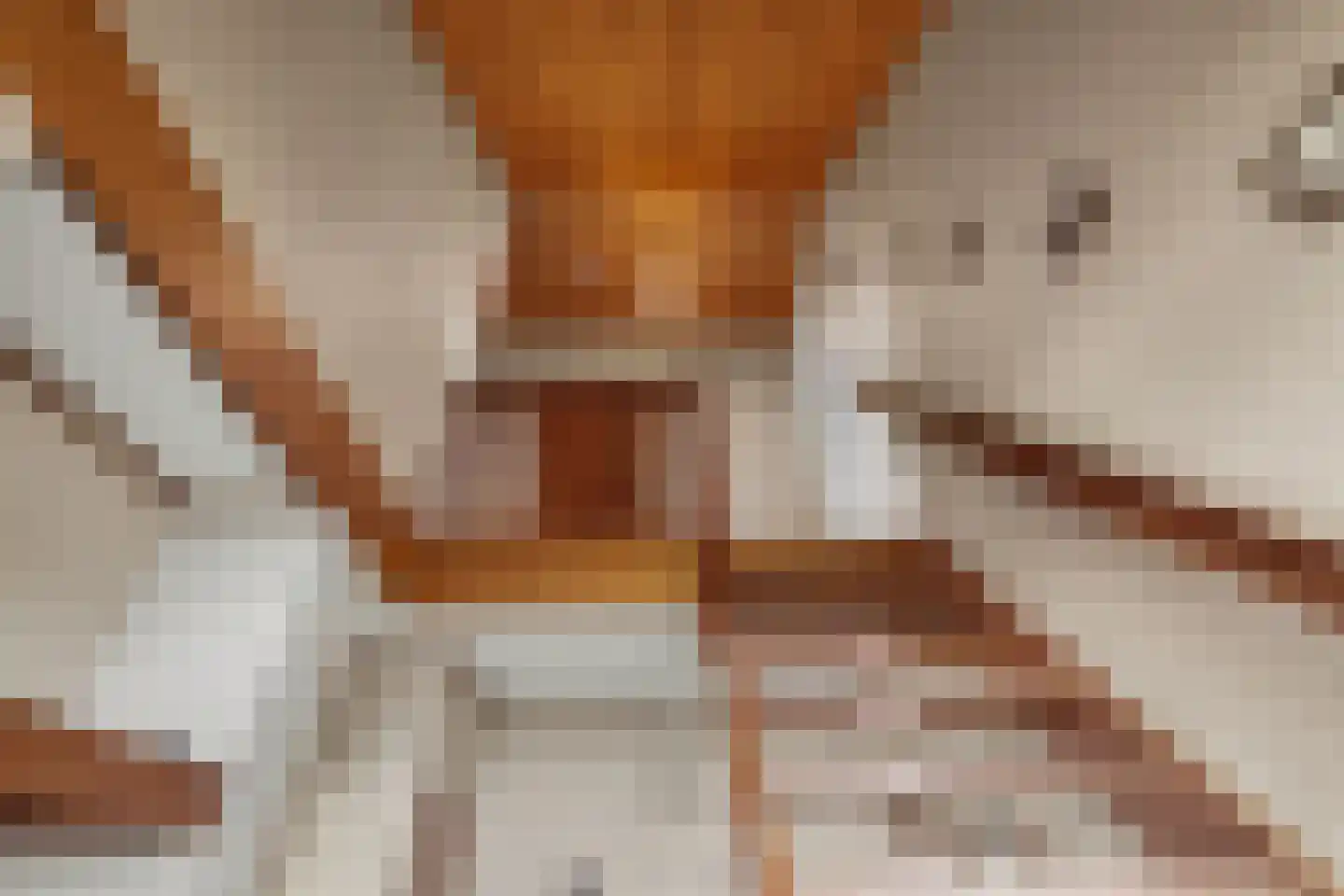 Lange Kruisweg 12 Maasdijk thumbnail 16