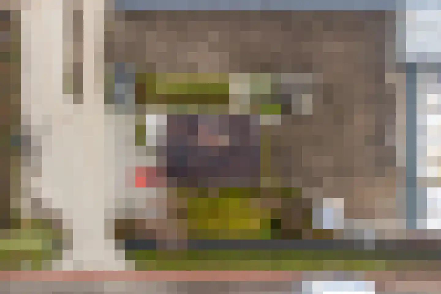 Lange Kruisweg 12 Maasdijk thumbnail 25