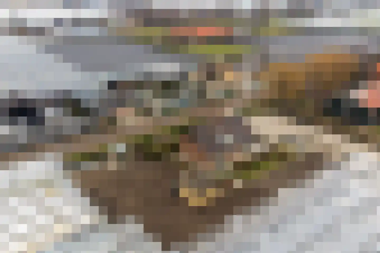 Lange Kruisweg 12 Maasdijk thumbnail 26