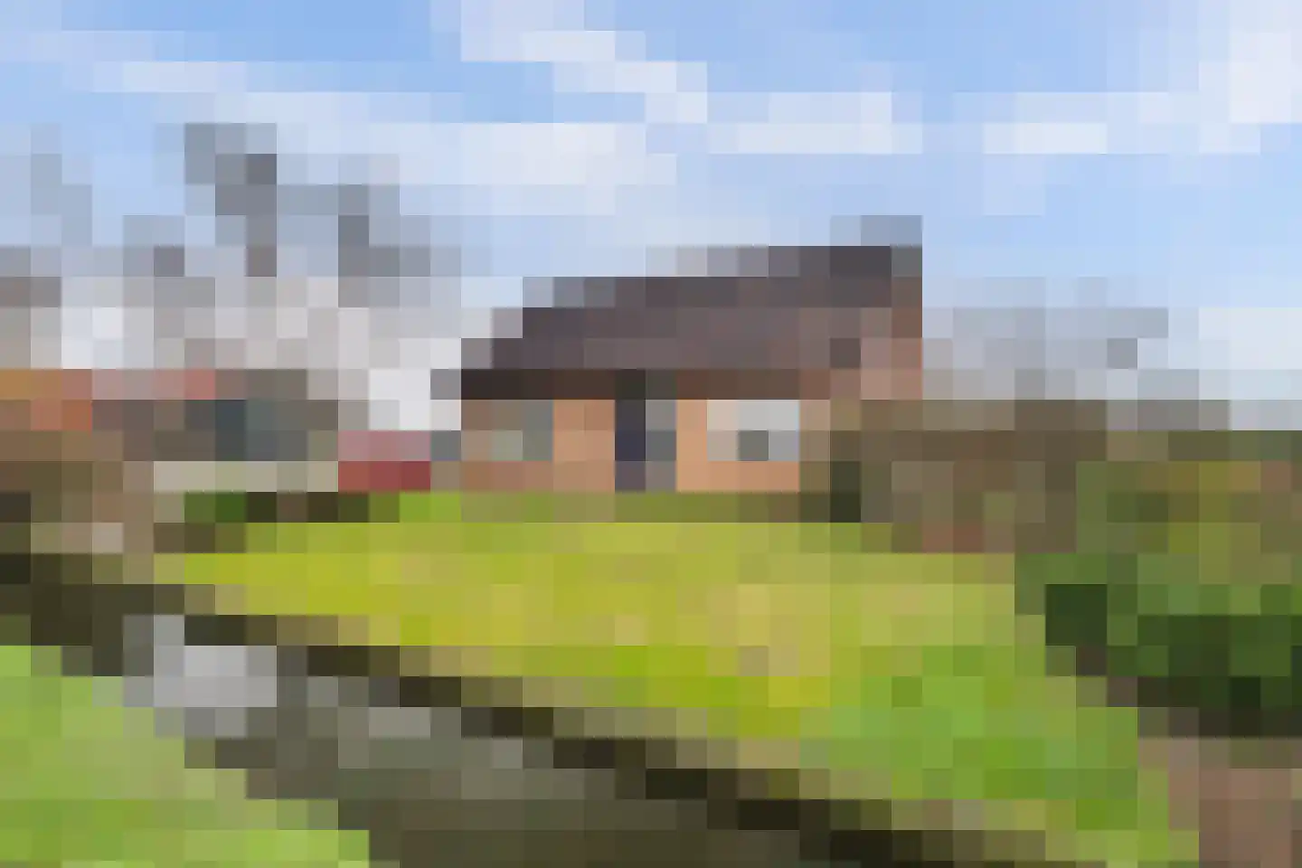 Lange Kruisweg 12 Maasdijk foto 3