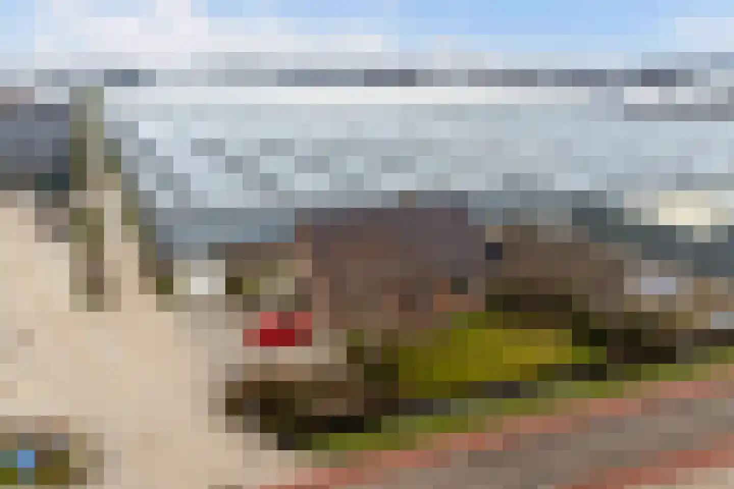 Lange Kruisweg 12 Maasdijk thumbnail 4