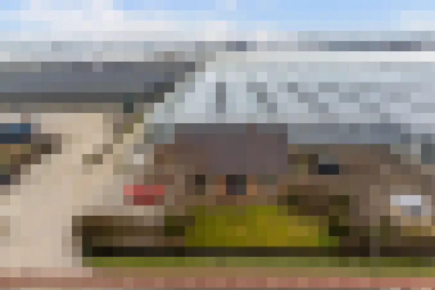 Lange Kruisweg 12 Maasdijk thumbnail 5
