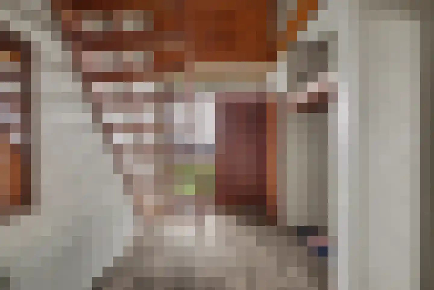 Lange Kruisweg 12 Maasdijk thumbnail 7