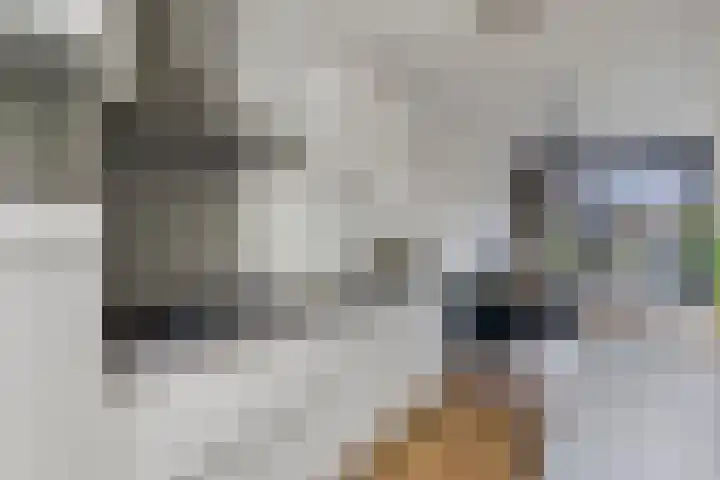 Lange Kruisweg 120 Veldhoven thumbnail 11