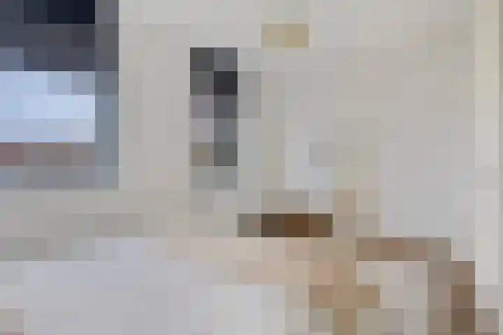 Lange Kruisweg 120 Veldhoven thumbnail 17