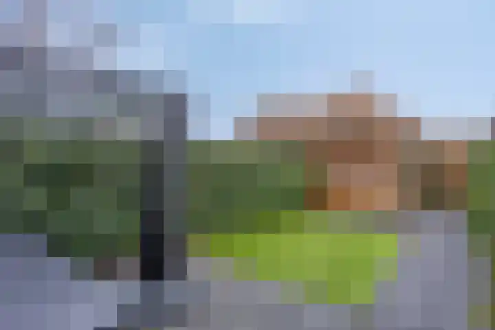 Lange Kruisweg 120 Veldhoven thumbnail 23