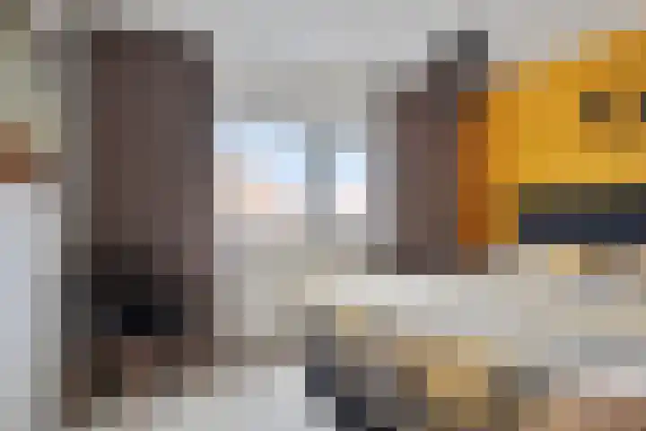 Lange Kruisweg 42 Veldhoven thumbnail 18
