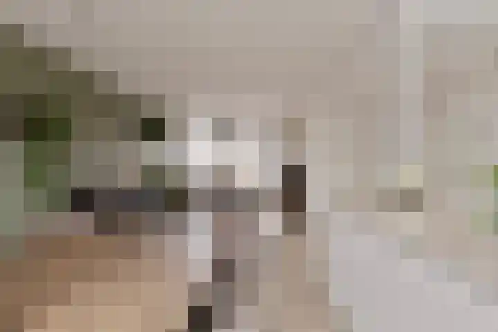 Lange Kruisweg 42 Veldhoven thumbnail 5