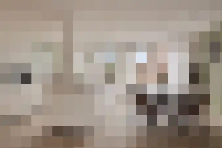 Lange Kruisweg 42 Veldhoven thumbnail 7