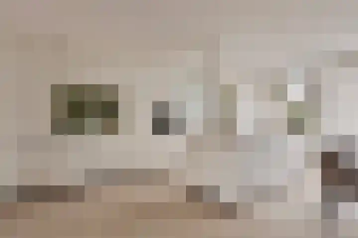 Lange Kruisweg 42 Veldhoven thumbnail 8