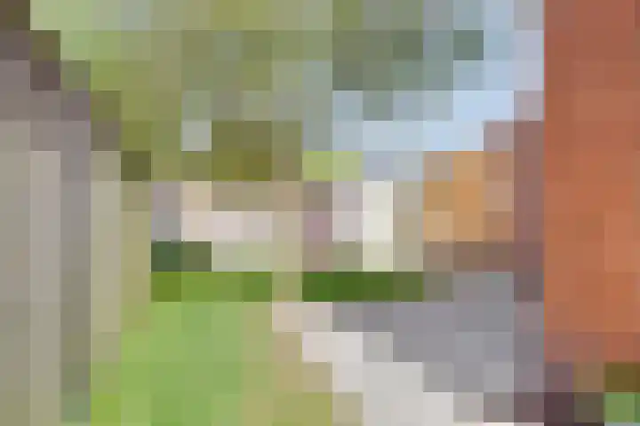 Lange Landweg 3 Onnen thumbnail 35