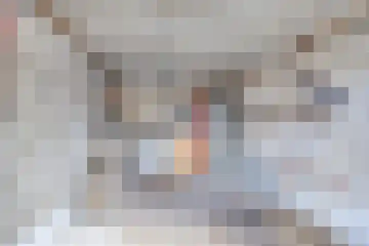 Lange Landweg 3 Onnen thumbnail 43