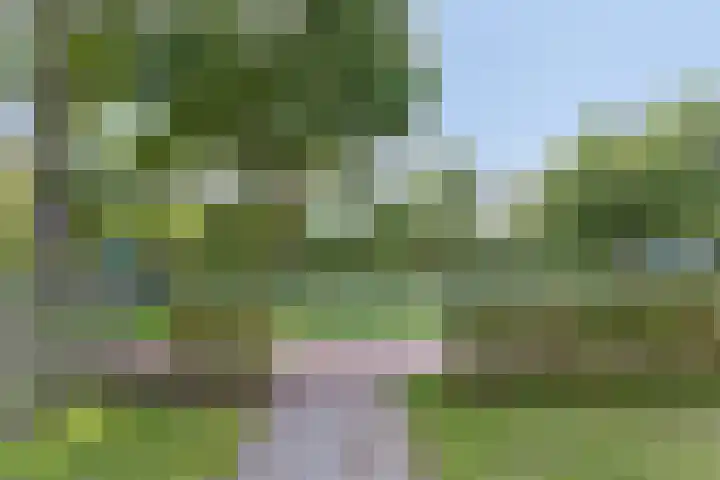 Lange Landweg 3 Onnen thumbnail 46