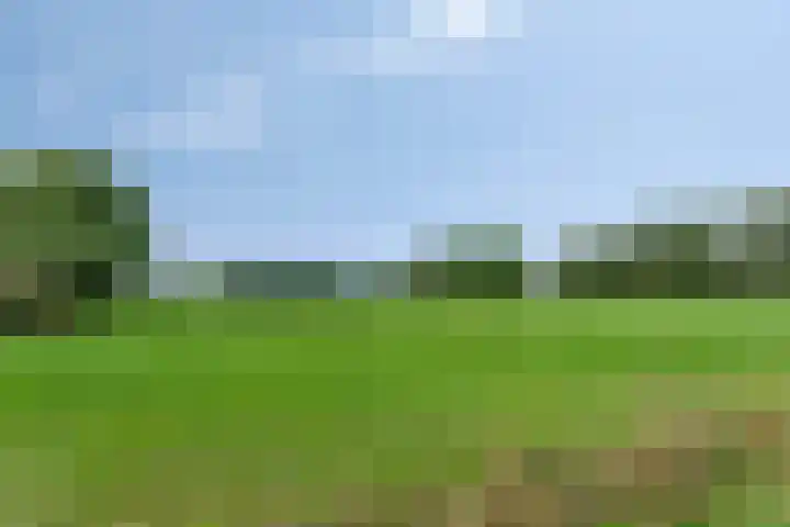 Lange Landweg 3 Onnen thumbnail 48