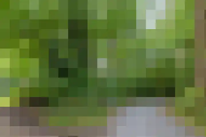 Lange Landweg 3 Onnen thumbnail 49