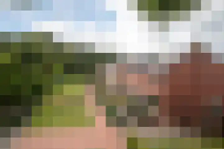 Lange Landweg 5 Onnen thumbnail 5