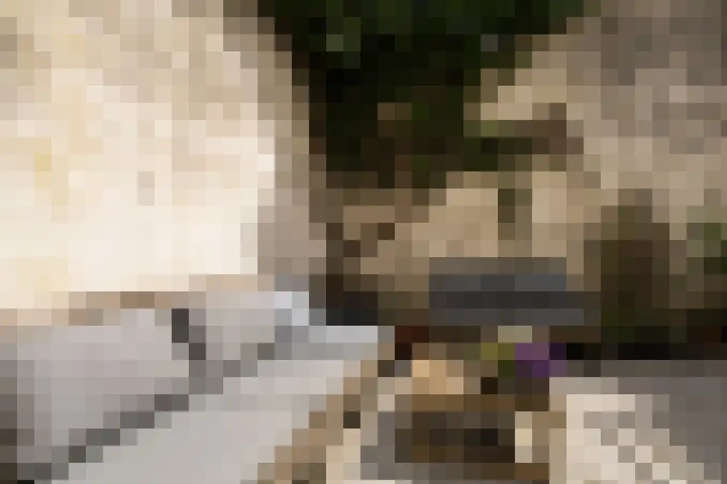 Lange Lauwerstraat 16 Utrecht thumbnail 25