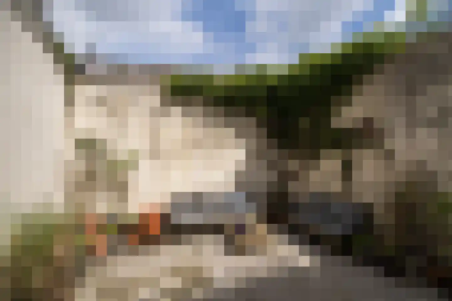 Lange Lauwerstraat 16 Utrecht thumbnail 8