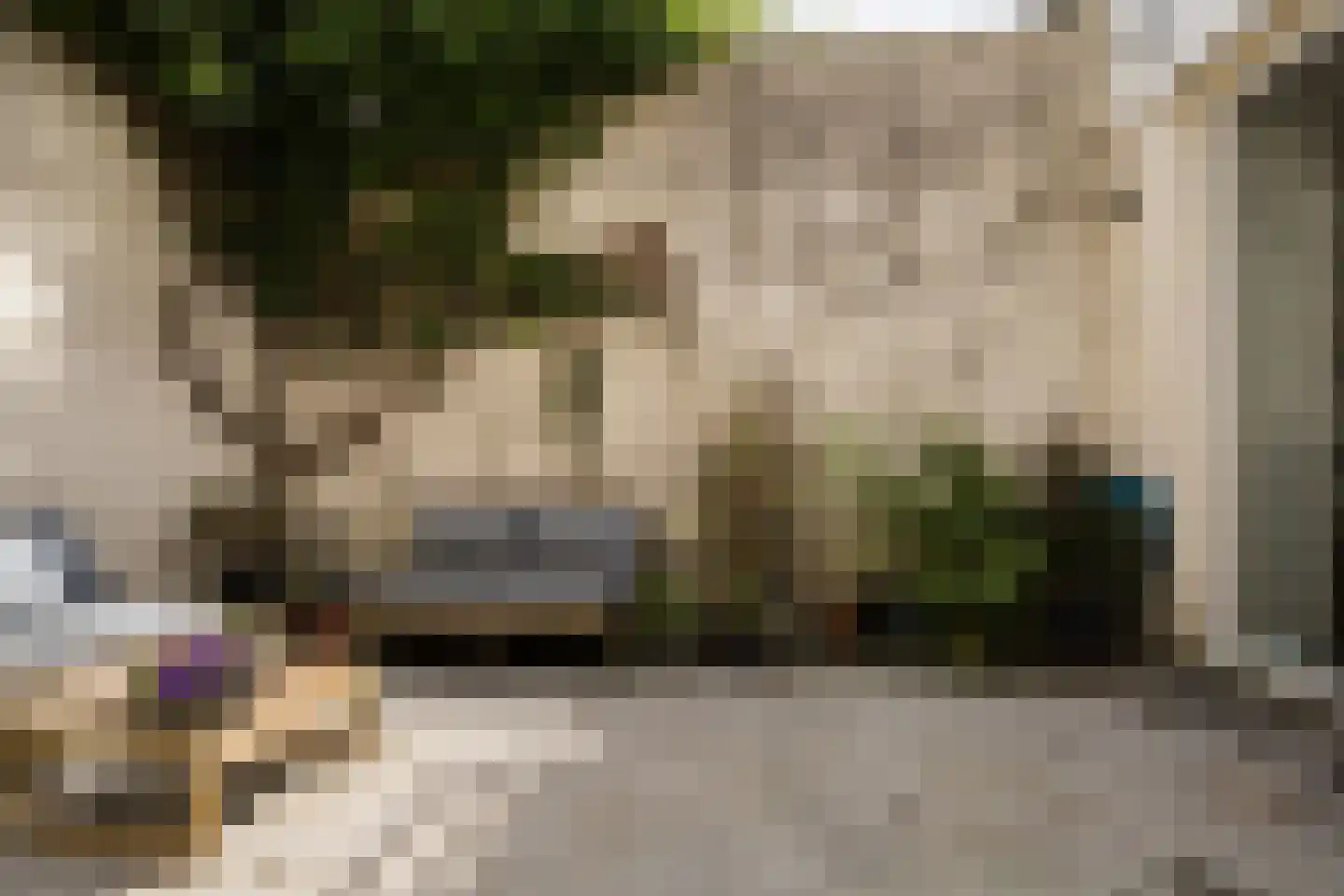 Lange Lauwerstraat 16 Utrecht thumbnail 9