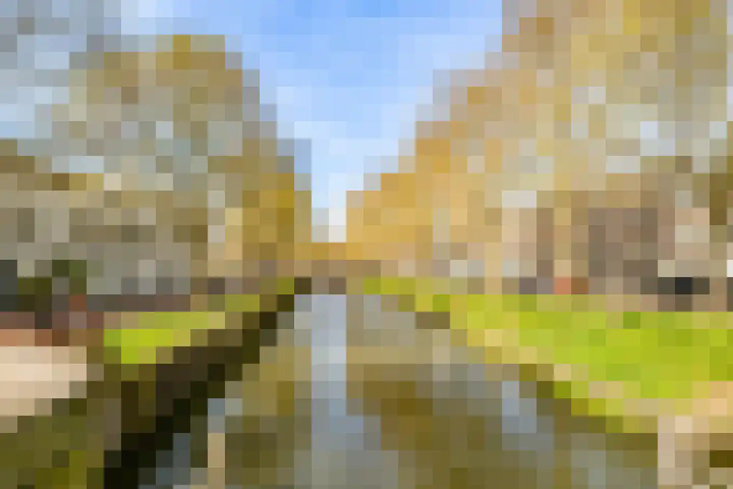 Lange Lauwerstraat 23 Utrecht thumbnail 43