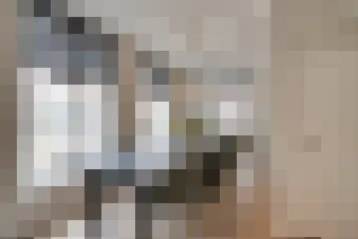 Lange Lauwerstraat 26 Utrecht thumbnail 9