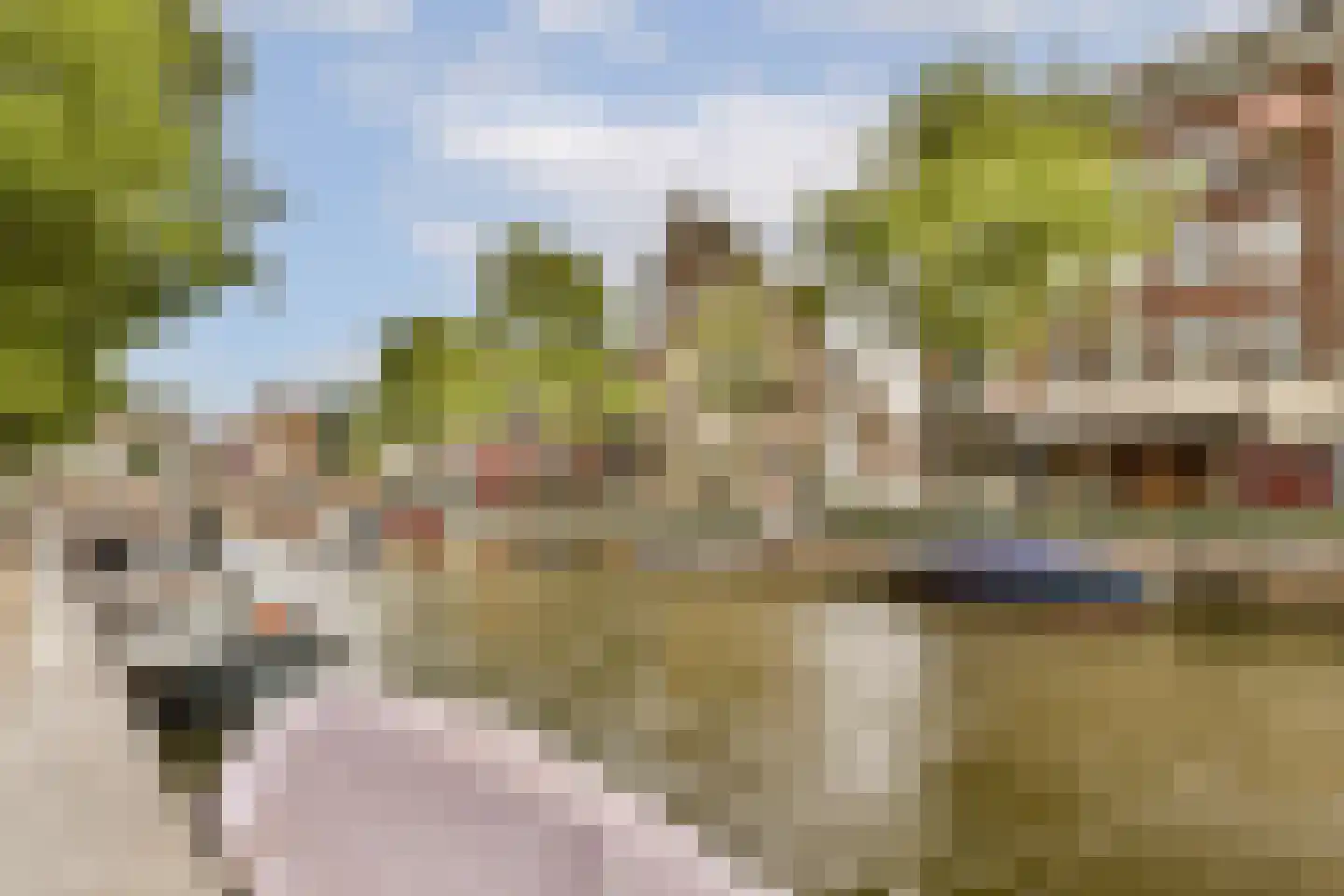 Lange Leidsedwarsstraat 101 C Amsterdam thumbnail 19