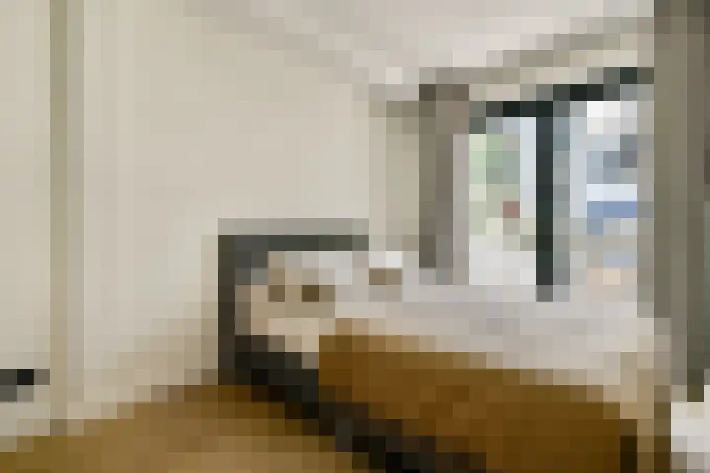 Lange Leidsedwarsstraat 103 1B Amsterdam thumbnail 12