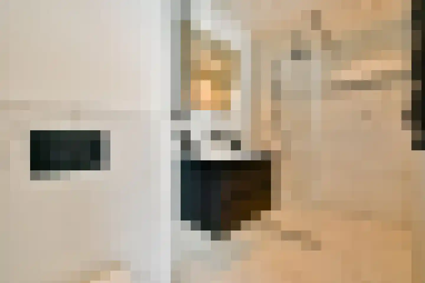 Lange Leidsedwarsstraat 103 1B Amsterdam thumbnail 13