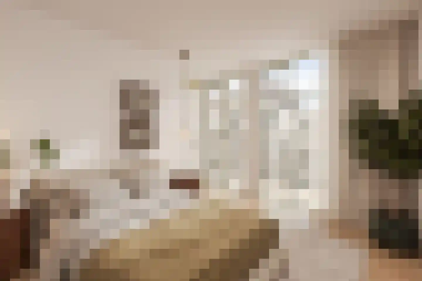 Lange Leidsedwarsstraat 16 D Amsterdam thumbnail 10