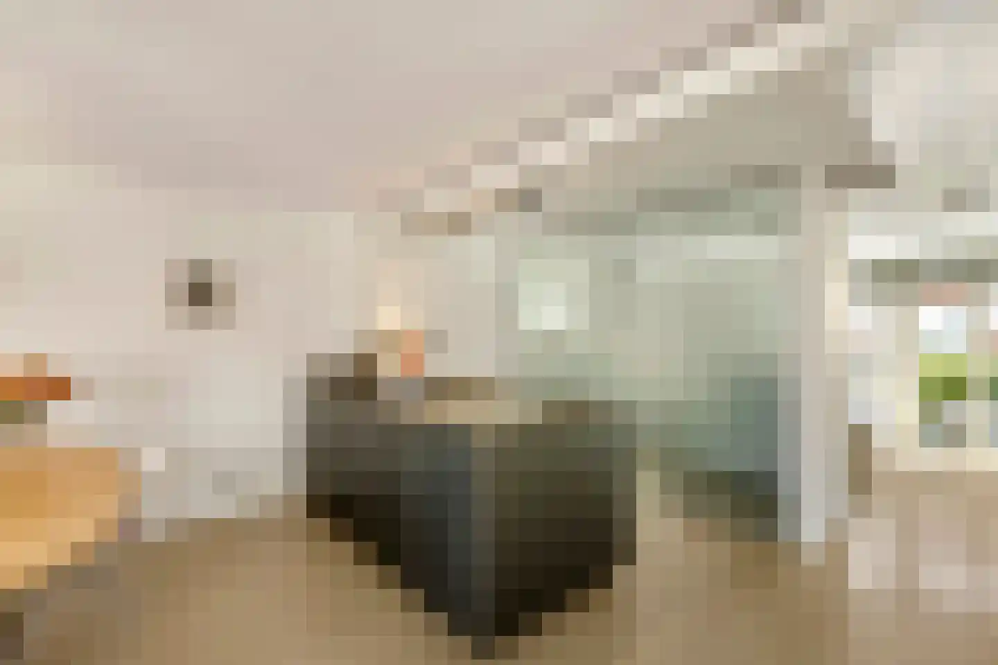 Lange Leidsedwarsstraat 36 D Amsterdam thumbnail 5