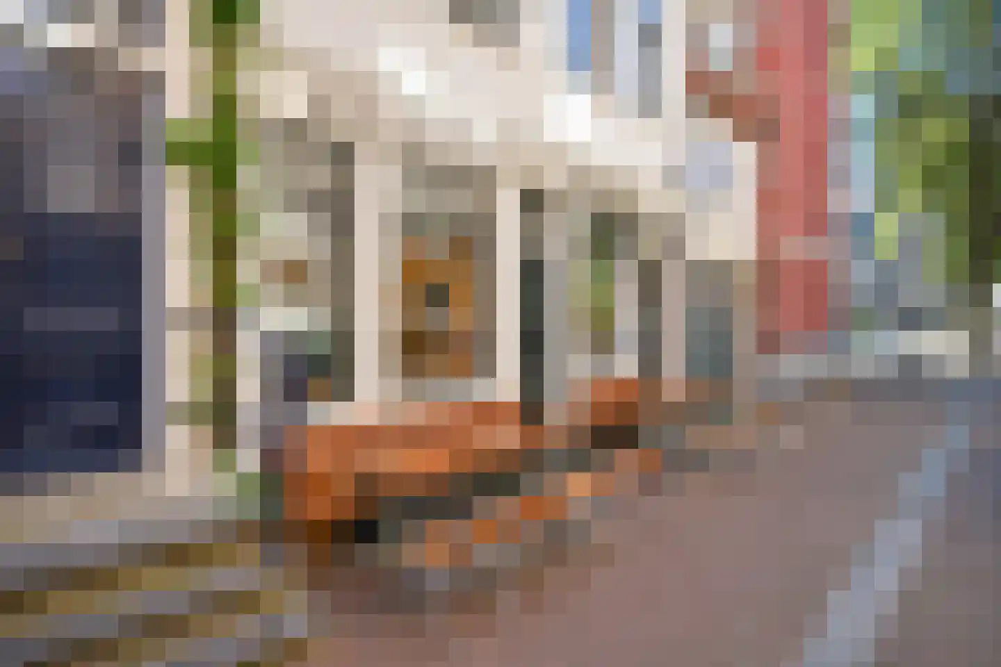 Lange Leidsedwarsstraat 62 C Amsterdam thumbnail 22