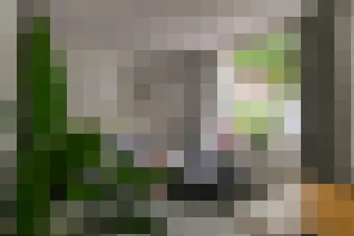 Lange Lijsbethsteeg 6 Leiden thumbnail 4