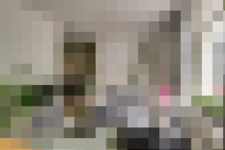 Lange Lijsbethsteeg 6 Leiden thumbnail 5