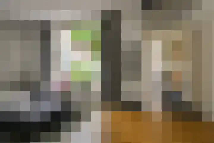 Lange Lijsbethsteeg 6 Leiden thumbnail 6