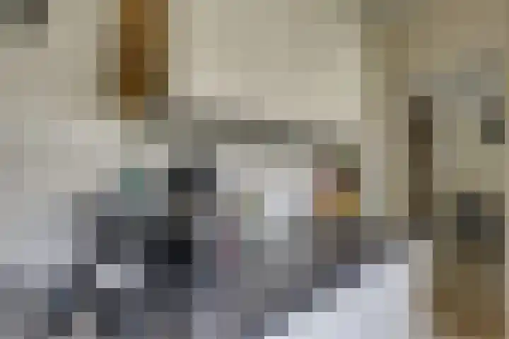 Lange Lijsbethsteeg 6 Leiden thumbnail 8