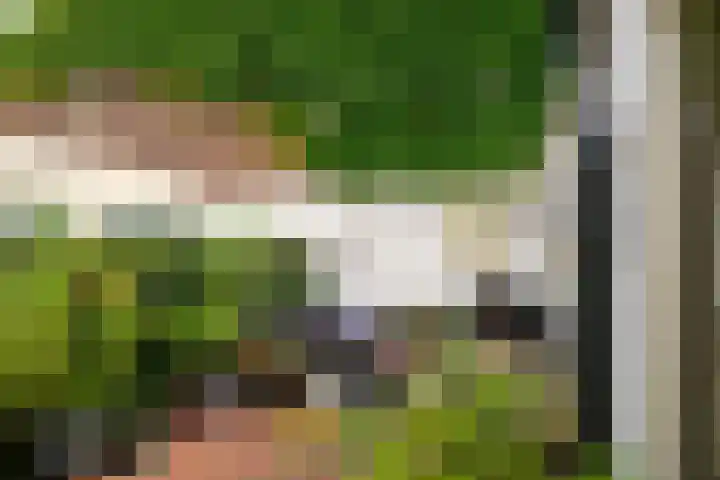 Lange Lijsbethsteeg 6 Leiden thumbnail 9