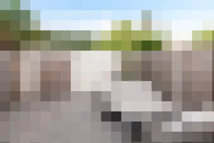 Lange Maat 115 Westervoort thumbnail 18